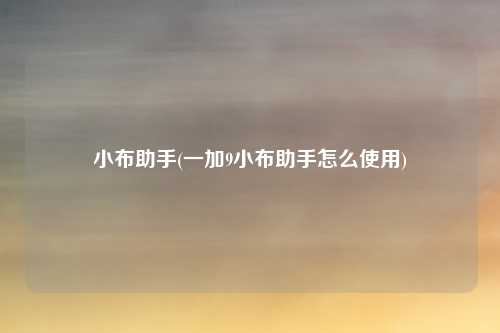小布助手(一加9小布助手怎么使用)