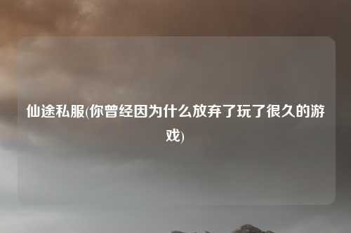 仙途私服(你曾经因为什么放弃了玩了很久的游戏)