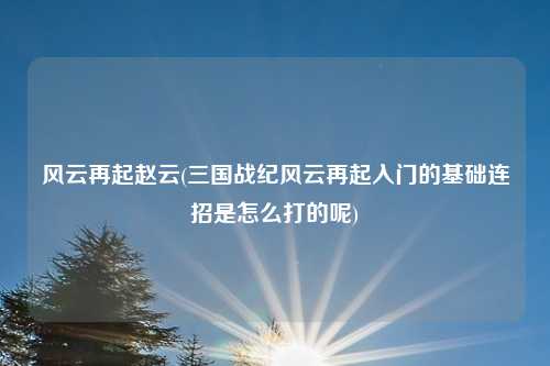 风云再起赵云(三国战纪风云再起入门的基础连招是怎么打的呢)