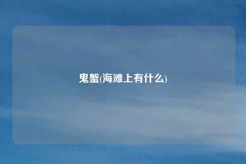 鬼蟹(海滩上有什么)