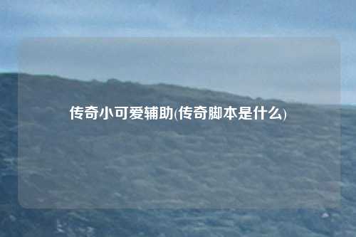 传奇小可爱辅助(传奇脚本是什么)