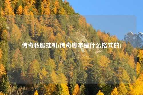 传奇私服挂机(传奇脚本是什么格式的)