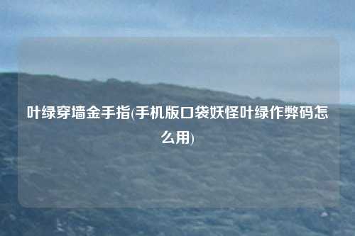 叶绿穿墙金手指(手机版口袋妖怪叶绿作弊码怎么用)
