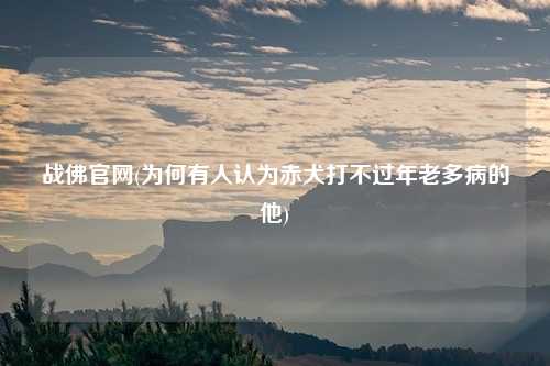 战佛官网(为何有人认为赤犬打不过年老多病的他)
