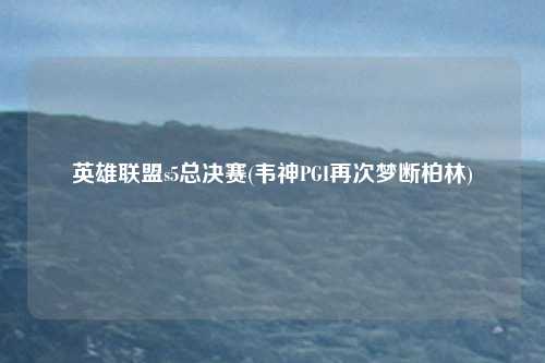 英雄联盟s5总决赛(韦神PGI再次梦断柏林)