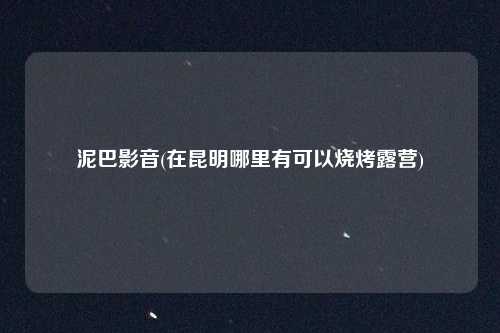 泥巴影音(在昆明哪里有可以烧烤露营)