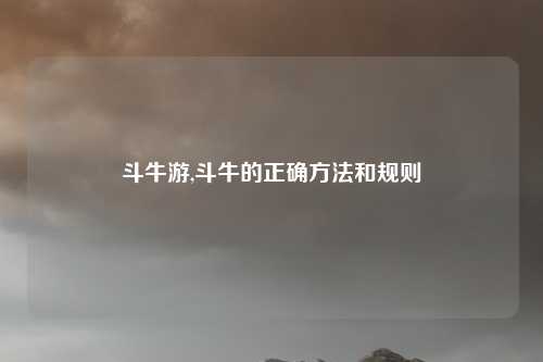 斗牛游,斗牛的正确方法和规则