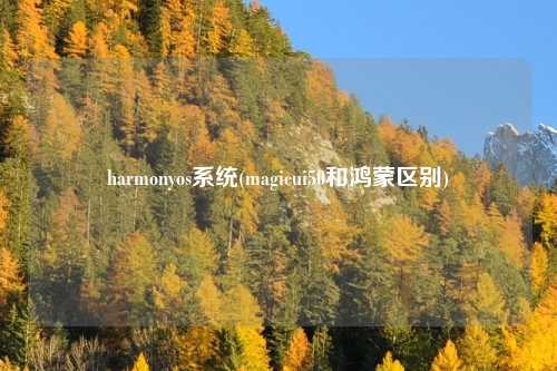 harmonyos系统(magicui50和鸿蒙区别)