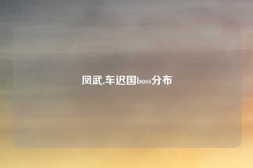 凤武,车迟国boss分布