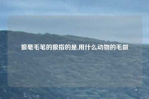狼毫毛笔的狼指的是,用什么动物的毛做