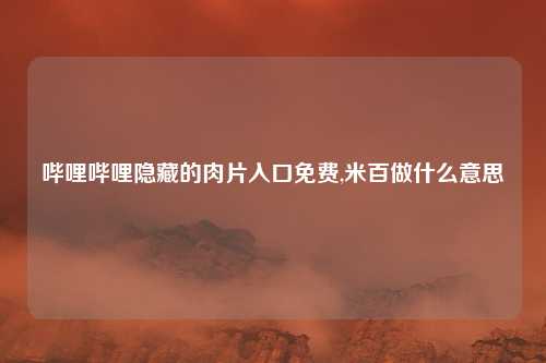 哔哩哔哩隐藏的肉片入口免费,米百做什么意思