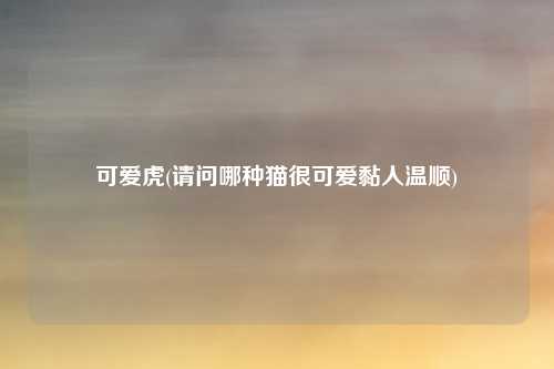 可爱虎(请问哪种猫很可爱黏人温顺)