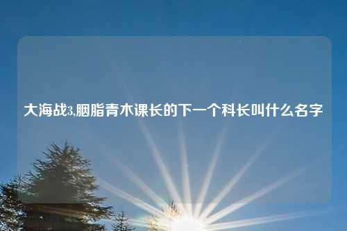 大海战3,胭脂青木课长的下一个科长叫什么名字