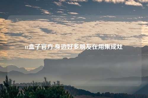 tt盒子官方,身边好多朋友在用集成灶