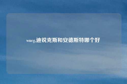 wucg,迪锐克斯和安德斯特哪个好