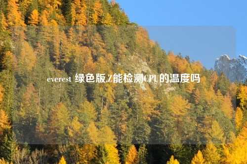 everest 绿色版,Z能检测CPU的温度吗