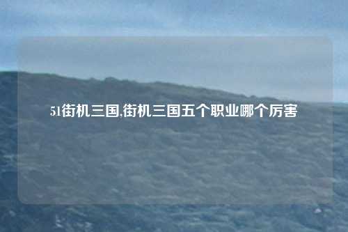 51街机三国,街机三国五个职业哪个厉害