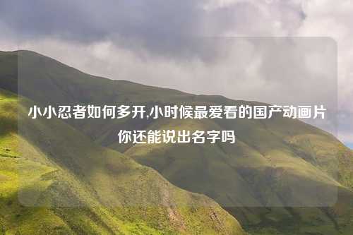 小小忍者如何多开,小时候最爱看的国产动画片你还能说出名字吗