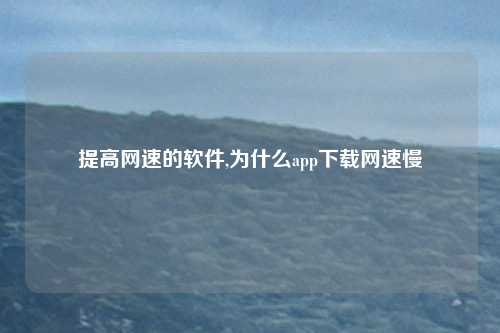 提高网速的软件,为什么app下载网速慢
