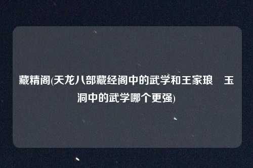 藏精阁(天龙八部藏经阁中的武学和王家琅嬛玉洞中的武学哪个更强)