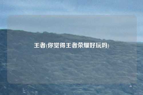 王者(你觉得王者荣耀好玩吗)