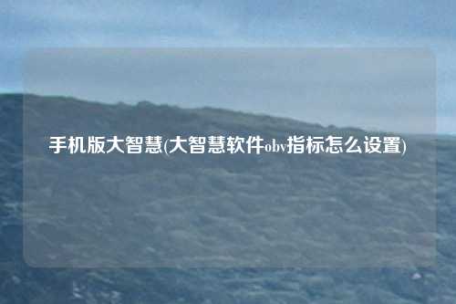手机版大智慧(大智慧软件obv指标怎么设置)