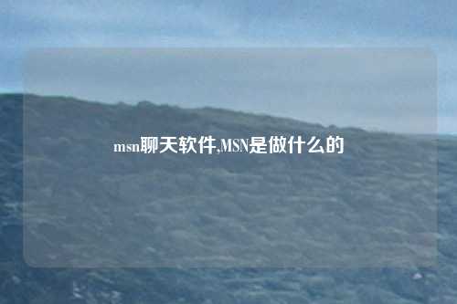 msn聊天软件,MSN是做什么的