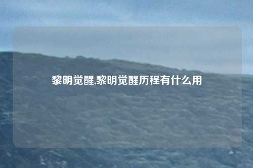 黎明觉醒,黎明觉醒历程有什么用