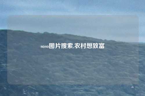 soso图片搜索,农村想致富