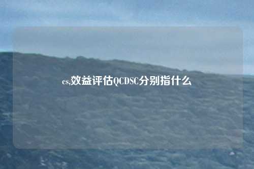 cs,效益评估QCDSC分别指什么
