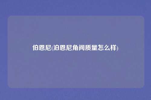 伯恩尼(泊恩尼角阀质量怎么样)