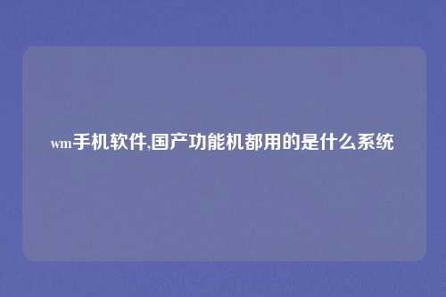 wm手机软件,国产功能机都用的是什么系统