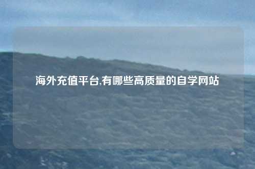 海外充值平台,有哪些高质量的自学网站