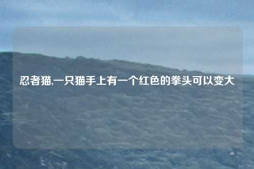 忍者猫,一只猫手上有一个红色的拳头可以变大