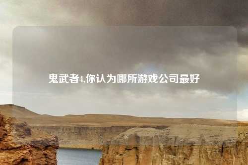 鬼武者4,你认为哪所游戏公司最好