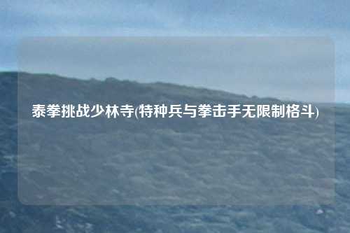 泰拳挑战少林寺(特种兵与拳击手无限制格斗)