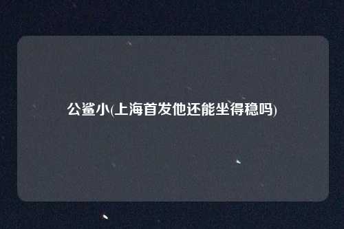 公鲨小(上海首发他还能坐得稳吗)