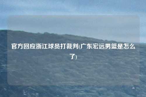 官方回应浙江球员打裁判(广东宏远男篮是怎么了)