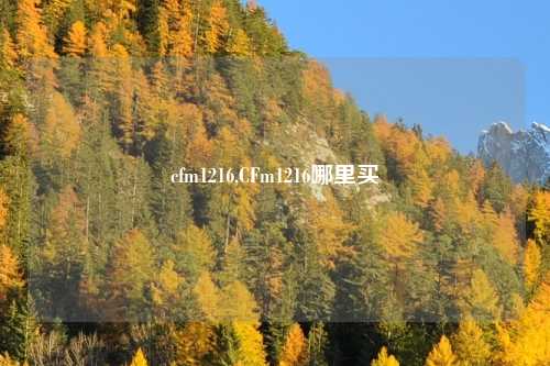 cfm1216,CFm1216哪里买