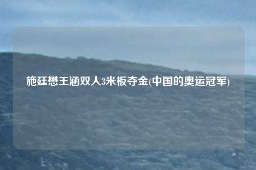 施廷懋王涵双人3米板夺金(中国的奥运冠军)