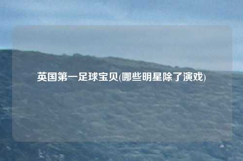 英国第一足球宝贝(哪些明星除了演戏)