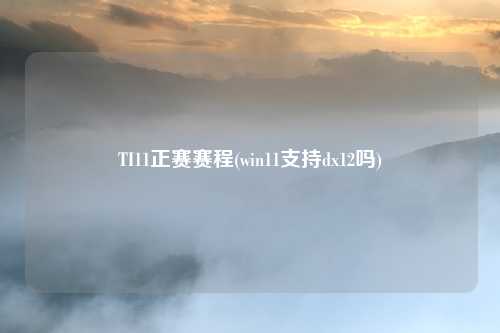 TI11正赛赛程(win11支持dx12吗)