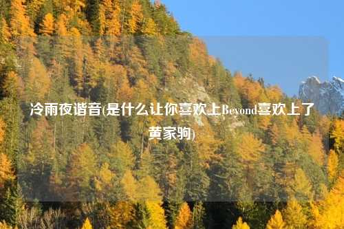 冷雨夜谐音(是什么让你喜欢上Beyond喜欢上了黄家驹)