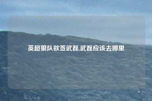 英超狼队欲签武磊,武磊应该去哪里