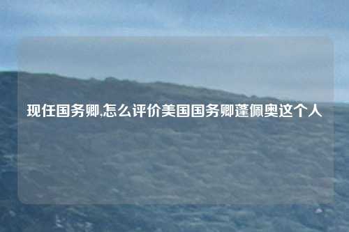 现任国务卿,怎么评价美国国务卿蓬佩奥这个人