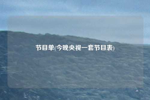 节目单(今晚央视一套节目表)