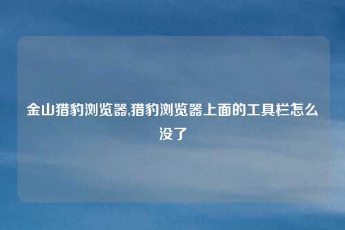 金山猎豹浏览器,猎豹浏览器上面的工具栏怎么没了