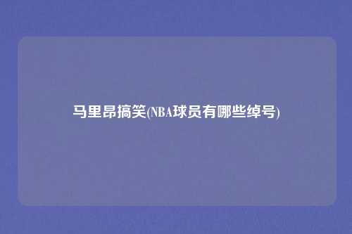 马里昂搞笑(NBA球员有哪些绰号)