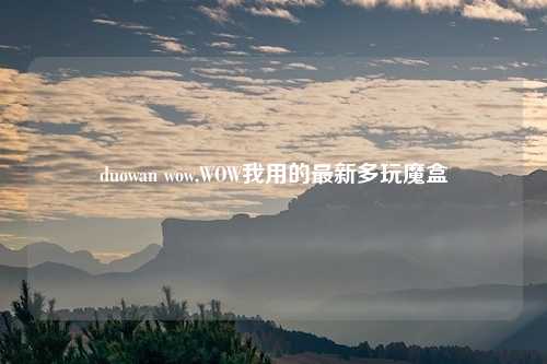 duowan wow,WOW我用的最新多玩魔盒