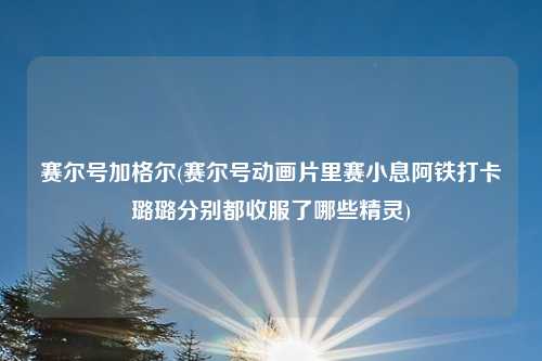 赛尔号加格尔(赛尔号动画片里赛小息阿铁打卡璐璐分别都收服了哪些精灵)